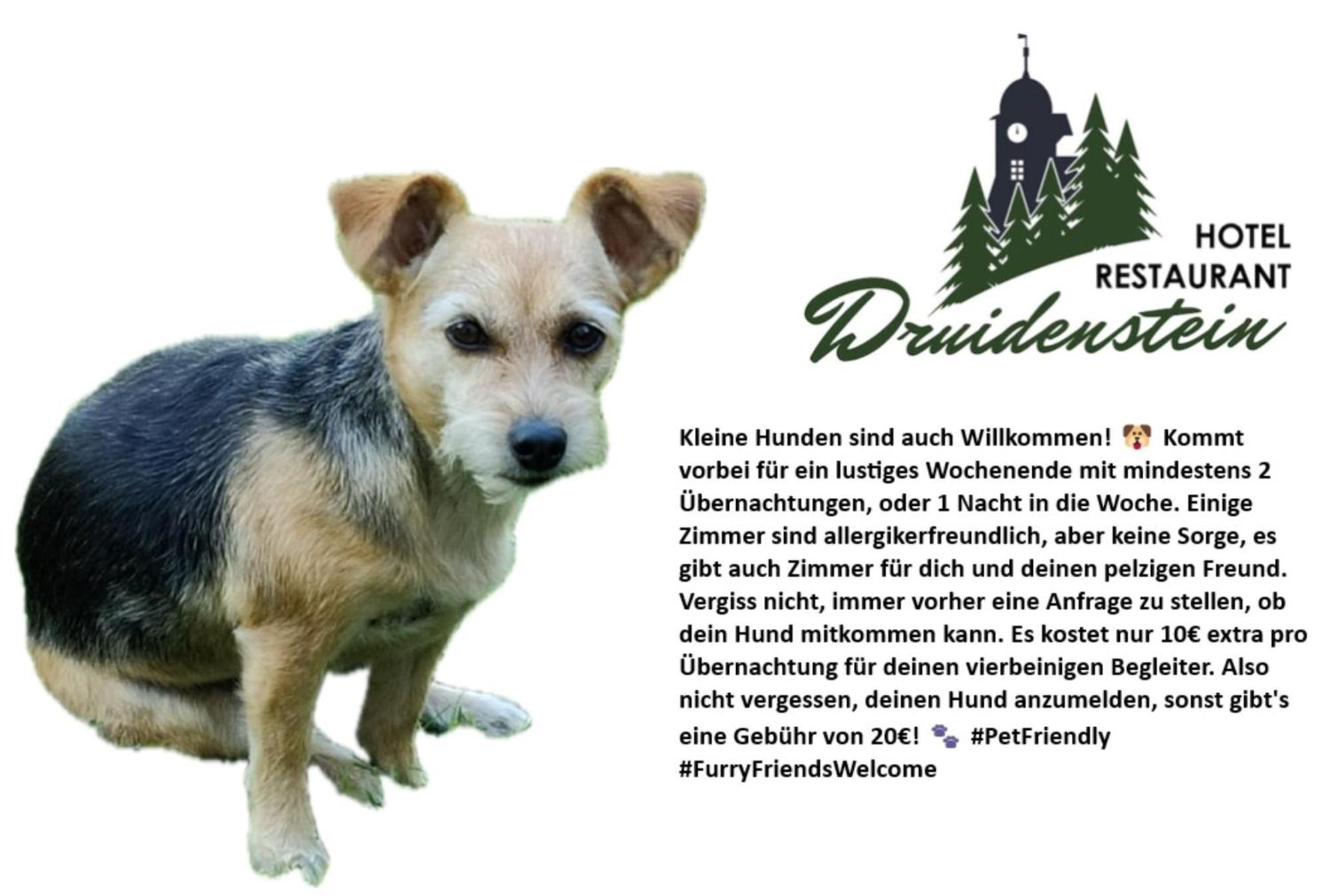 Hotel & Restaurant Druidenstein Trautenstein Eksteriør bilde