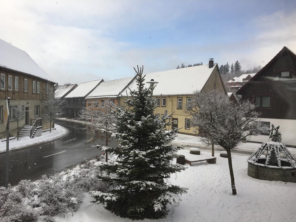 Hotel & Restaurant Druidenstein Trautenstein Eksteriør bilde