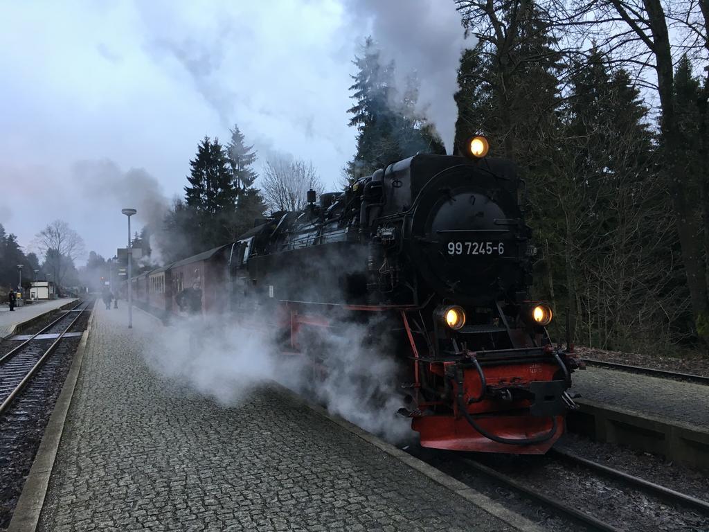 Hotel & Restaurant Druidenstein Trautenstein Eksteriør bilde